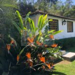 5.Jardim
