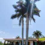 6.Jardim