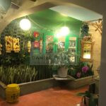 8.Jardim